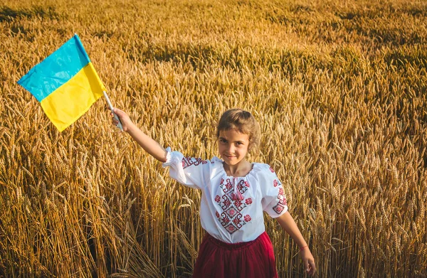 Дитина Полі Пшениці Вишиванці Концепція Дня Незалежності України Вибіркове Фокусування — стокове фото