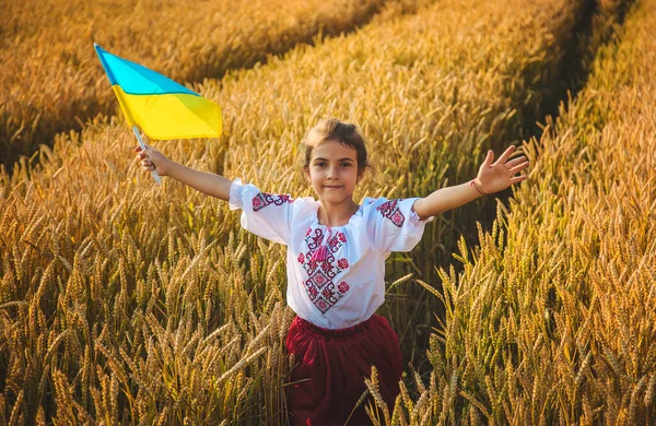 Enfant Dans Champ Blé Dans Vyshyvanka Concept Fête Indépendance Ukraine — Photo