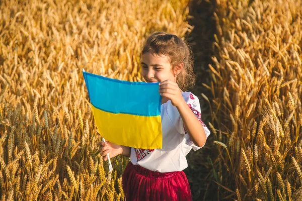 Ребёнок Пшеничном Поле Вышыванке Концепция Дня Независимости Украины Выборочный Фокус — стоковое фото
