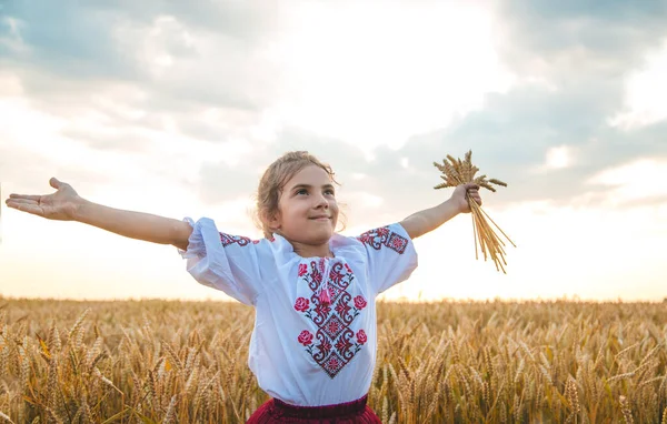 Buğday Tarlasında Bir Çocuk Vyshyvanka Ukrayna Nın Bağımsızlık Günü Kavramı — Stok fotoğraf