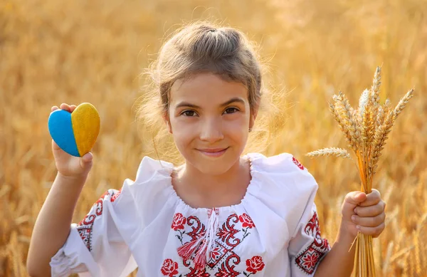 Buğday Tarlasında Bir Çocuk Vyshyvanka Ukrayna Nın Bağımsızlık Günü Kavramı — Stok fotoğraf