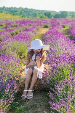 Lavanta tarlasında bir çocuk. Seçici odaklanma. Doğa.