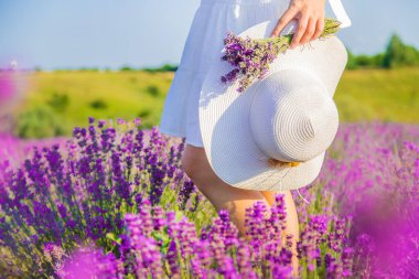 Lavanta tarlasında şapkalı bir kadın. Seçici odaklanma. Doğa.