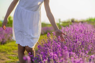 Lavanta tarlasında bir çocuk. Seçici odaklanma. Doğa.