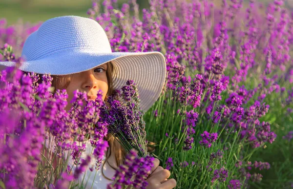 Ein Kind Einem Lavendelfeld Selektiver Fokus Natur — Stockfoto