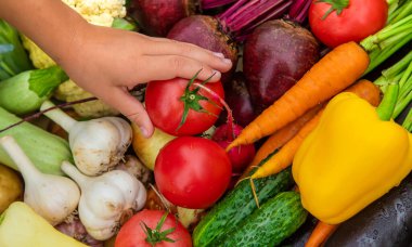 Çocuk bahçede sebzeleri elinde tutuyor. Seçici odaklanma. Doğa.