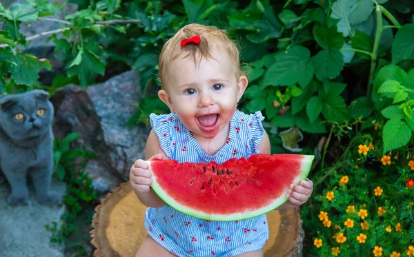 새끼는 여름에 수박을 먹는다 선택적 집중입니다 — 스톡 사진