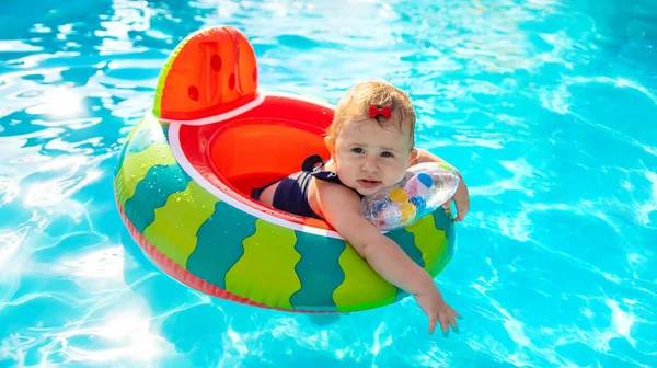 Bebé Nada Círculo Piscina Enfoque Selectivo Naturaleza —  Fotos de Stock