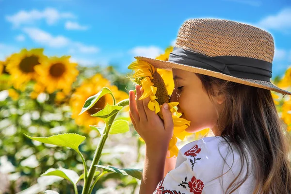 Niño Campo Girasoles Con Una Camisa Bordada Ucrania Concepto Día —  Fotos de Stock