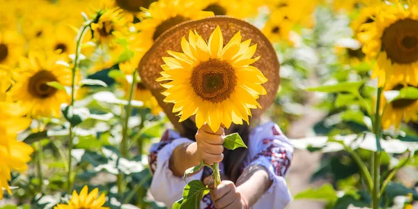 Niño Campo Girasoles Con Una Camisa Bordada Ucrania Concepto Día —  Fotos de Stock