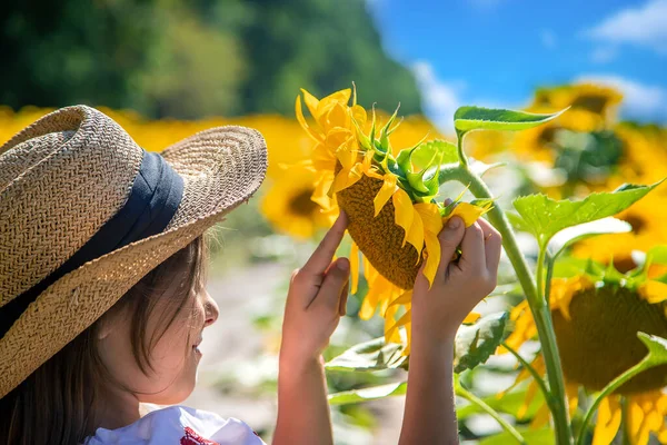 Niño Campo Girasoles Con Una Camisa Bordada Ucrania Concepto Día —  Fotos de Stock