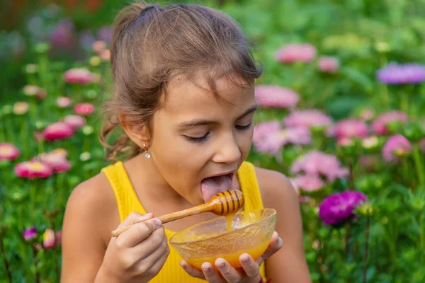 Niño Come Miel Flores Enfoque Selectivo Naturaleza — Foto de Stock