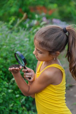 Çocuk bir büyüteçle zemini inceler. Seçici odaklanma. Doğa.