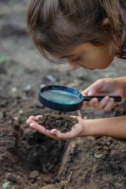 Çocuk bir büyüteçle zemini inceler. Seçici odaklanma. Doğa.