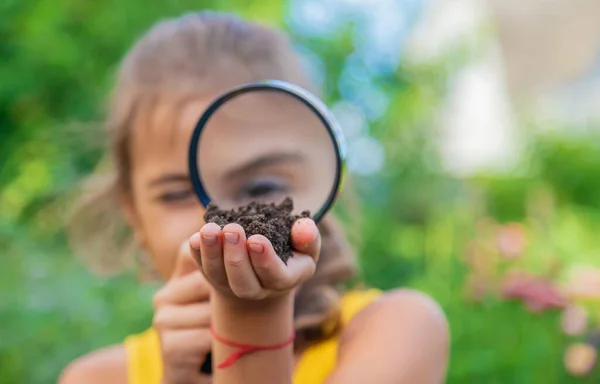 Bambino Esamina Terreno Con Una Lente Ingrandimento Concentrazione Selettiva Natura — Foto Stock