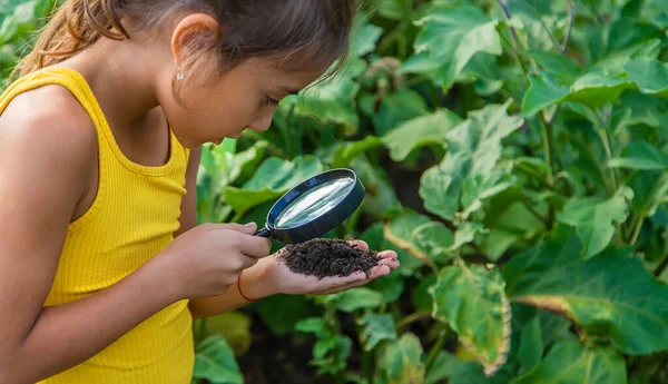 Anak Itu Memeriksa Tanah Dengan Kaca Pembesar Fokus Selektif Alam — Stok Foto