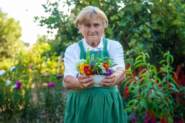 这个女人收集药草和花 有选择的重点 — 图库照片
