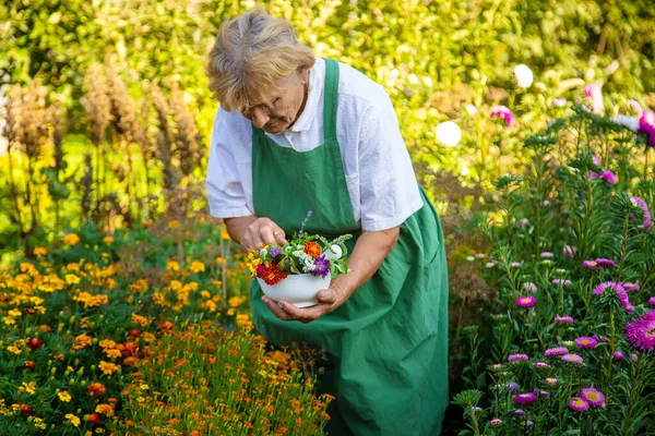 Vrouw Verzamelt Geneeskrachtige Kruiden Bloemen Selectieve Focus Natuur — Stockfoto