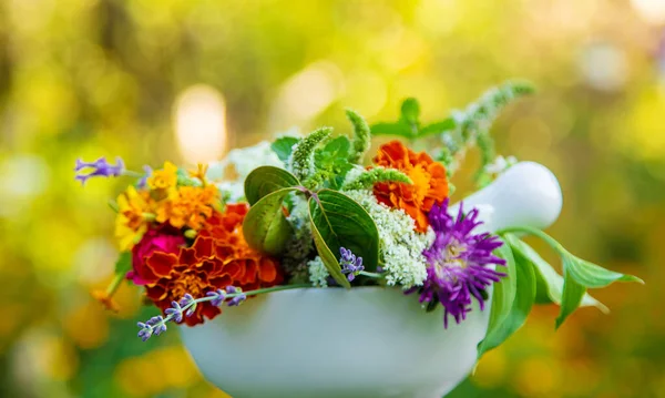 Heilkräuter Und Blumen Mörser Selektiver Fokus Natur — Stockfoto