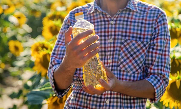 Соняшникова Олія Руках Фермера Полі Вибірковий Фокус Природа — стокове фото