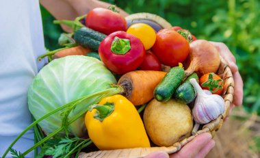 Çiftçi bir adam elinde sebze tutuyor. Seçici odaklanma. Yiyecek..