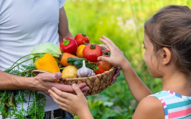 Bir çiftçinin elinde sebze ve bir çocuk vardır. Seçici odaklanma. Yiyecek..