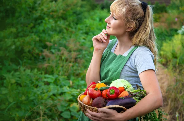 Vrouwelijke Boer Moestuin Met Een Oogst Van Groenten Selectieve Focus — Stockfoto