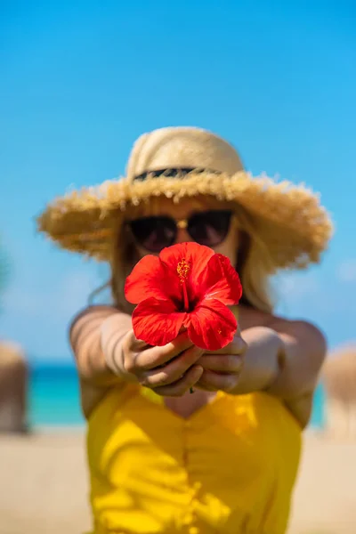 Mulher Férias Pelo Mar Flor Hibisco Mãos Foco Seletivo Natureza — Fotografia de Stock