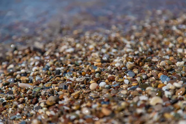 Pebbles Vackra Stenar Havet Selektivt Fokus Natur — Stockfoto