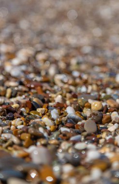Çakıl taşları denizde güzel çakıl taşlarıdır. Seçici odaklanma. Doğa.