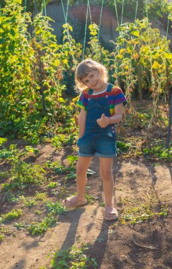 Bahçedeki çocuk portresi. Seçici odaklanma. Çocuk.