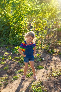Bahçedeki çocuk portresi. Seçici odaklanma. Çocuk.