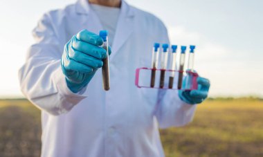 Analiz için toprak örnekleri. Seçici odaklanma. Doğa.