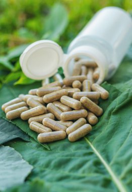 Various herbal supplement capsules. Selective focus. nature.
