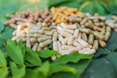 Various herbal supplement capsules. Selective focus. nature.