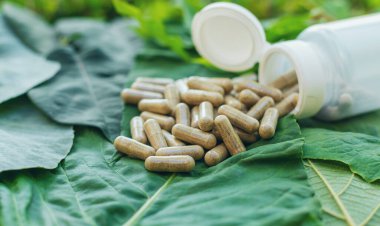 Various herbal supplement capsules. Selective focus. nature.