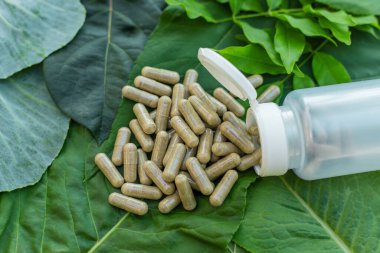 Various herbal supplement capsules. Selective focus. nature.