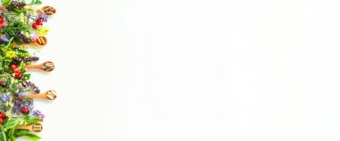 Various medicinal herbs and flowers and supplements. Selective focus. nature.