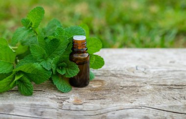 Peppermint essential oil in the garden. Selective focus. nature.
