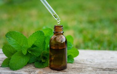 Peppermint essential oil in the garden. Selective focus. nature.