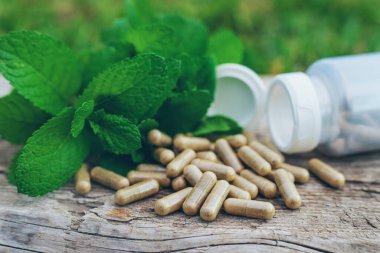 Peppermint essential oil in the garden. Selective focus. nature.