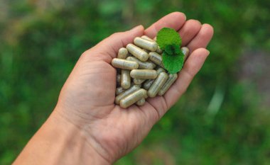 Peppermint essential oil in the garden. Selective focus. nature.