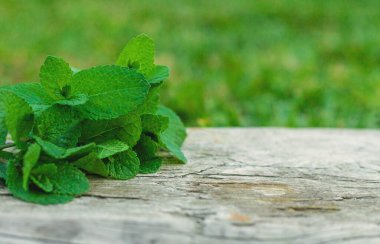Peppermint essential oil in the garden. Selective focus. nature.