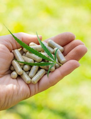 Cannabis supplements and homeopathy. Selective focus. Nature.