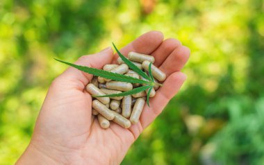 Cannabis supplements and homeopathy. Selective focus. Nature.