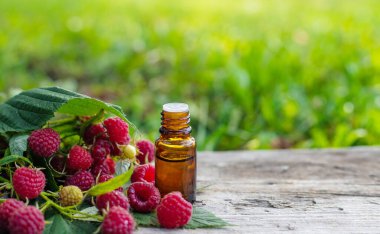 Raspberry leaf extract and supplements. Selective focus. Food.