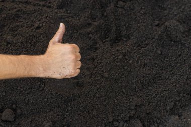 Soil in a man hands. Selective focus. Nature.