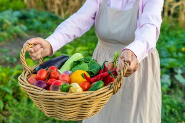 Sebze pazarında. Seçici odaklanma. Yiyecek..