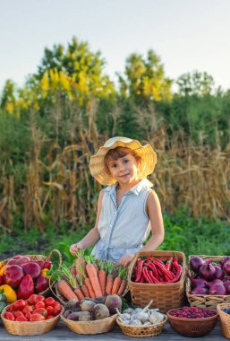 Çiftçi pazarında sebzeli bir çocuk. Seçici odaklanma. Yiyecek..
