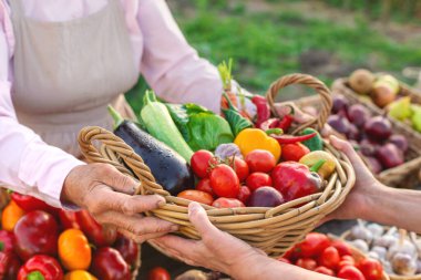 Sebze pazarında. Seçici odaklanma. Yiyecek..